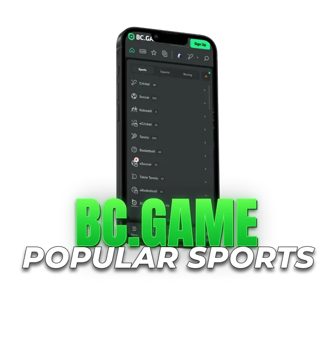 Popular sports available for betting at BC.GAME including cricket, soccer, tennis and basketball.